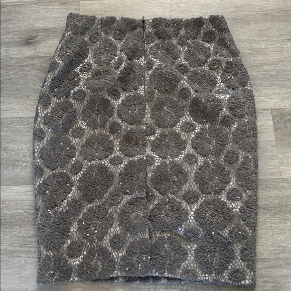 NWT Ann Taylor Silver Lace Overlay Sz 2 mini skirt - Picture 7 of 7